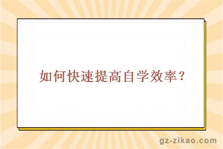 如何快速提高网站收录 提升网站快速收录的解决方法 (如何快速提高记忆力和专注力)