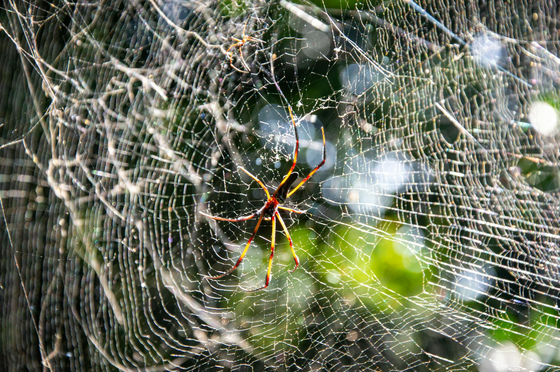 网页上的文章怎么引用 (网页上的文章如何截图打印出来)