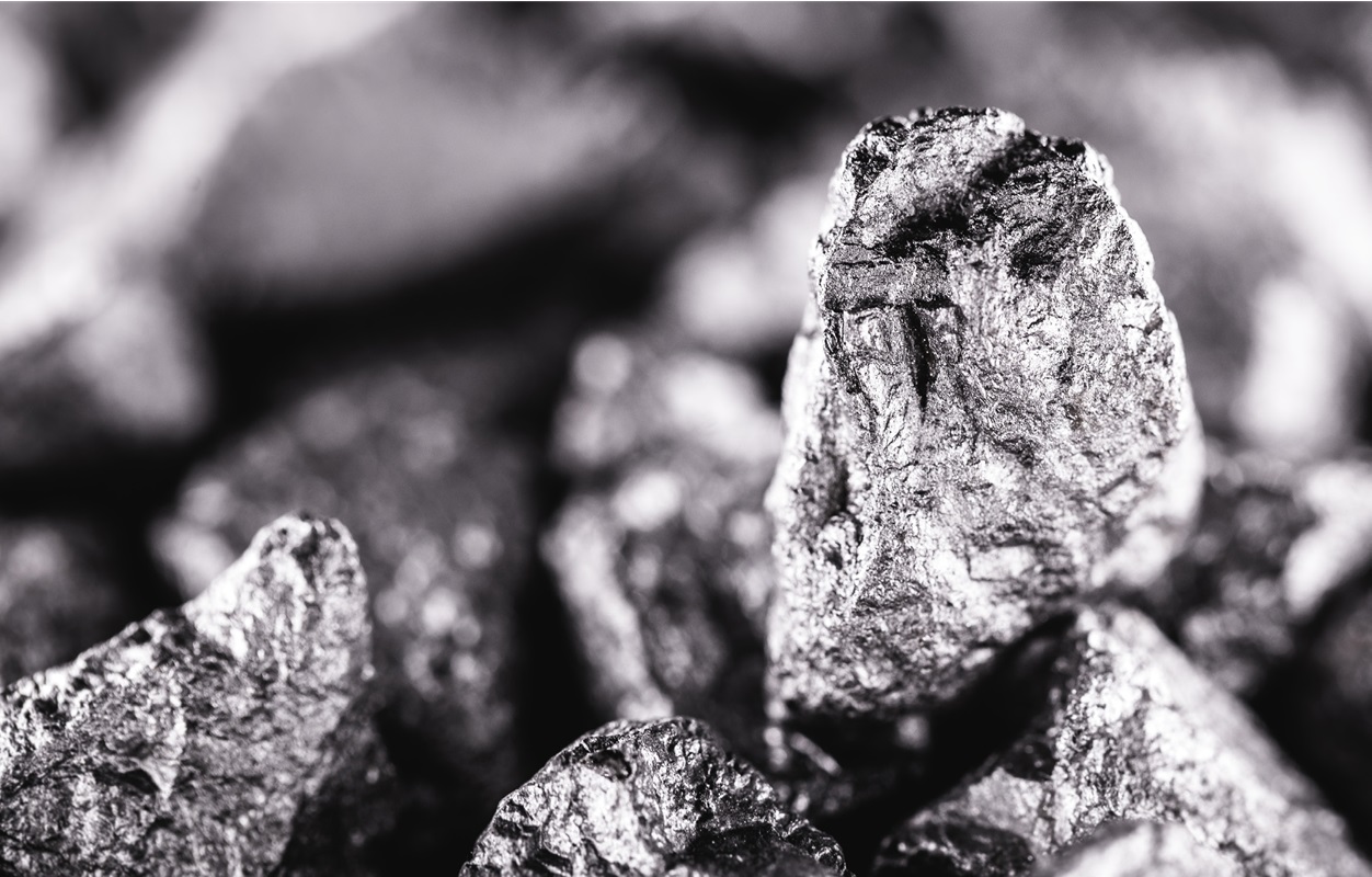 Silverlight技术是什么 (silver boa)