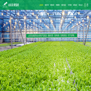 东莞蔬菜公司_东莞蔬菜配送_东莞蔬菜批发-广东山农农业集团有限公司