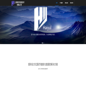 上海海宇信息技术有限公司