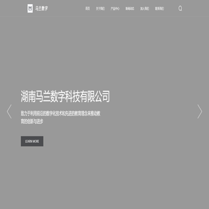 马兰数字科技