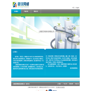 上海碧汉网络科技有限公司