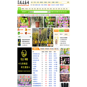 中国兰花交易网 － 兰花拍卖,中兰网,兰草交易,兰花图片,了解中国兰花尽在本兰花网