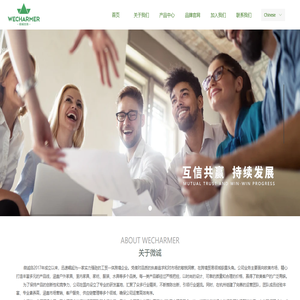 浙江微诚出海科技有限公司-首页