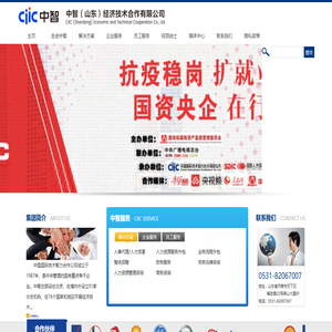 中智（山东）经济技术合作有限公司