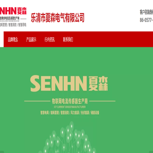 乐清市夏森电气有限公司