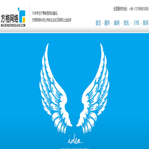 东莞网站建设_东莞网络公司_营销型网站设计策划与运营-方格网络