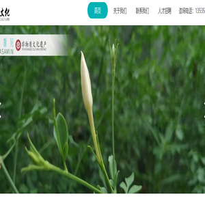 广州市元雅文化有限公司