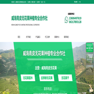 无花果苗 | 鲜无花果 | 无花果冻干 -威海青皮无花果种植专业合作社